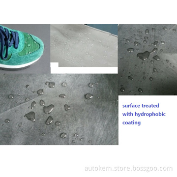 Hydrophobic Coating (water repellent coating)